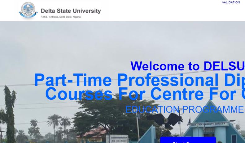 Delsu courses