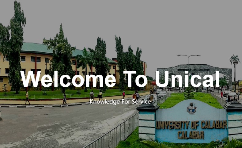 Unical Courses Offered