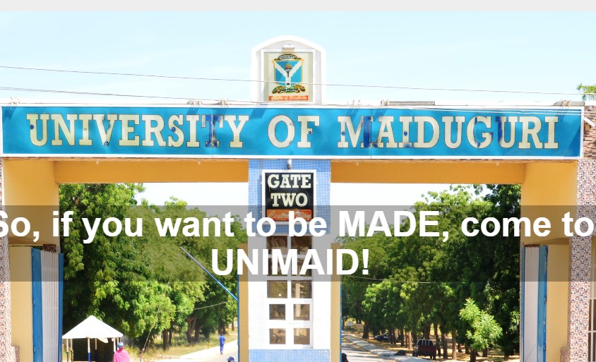 Unimaid Courses Offered